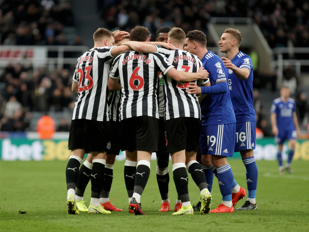 际化的视野 际化的视野